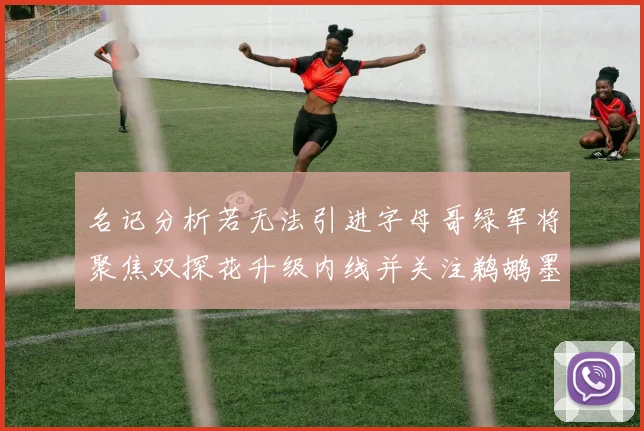 名记分析若无法引进字母哥绿军将聚焦双探花升级内线并关注鹈鹕墨菲